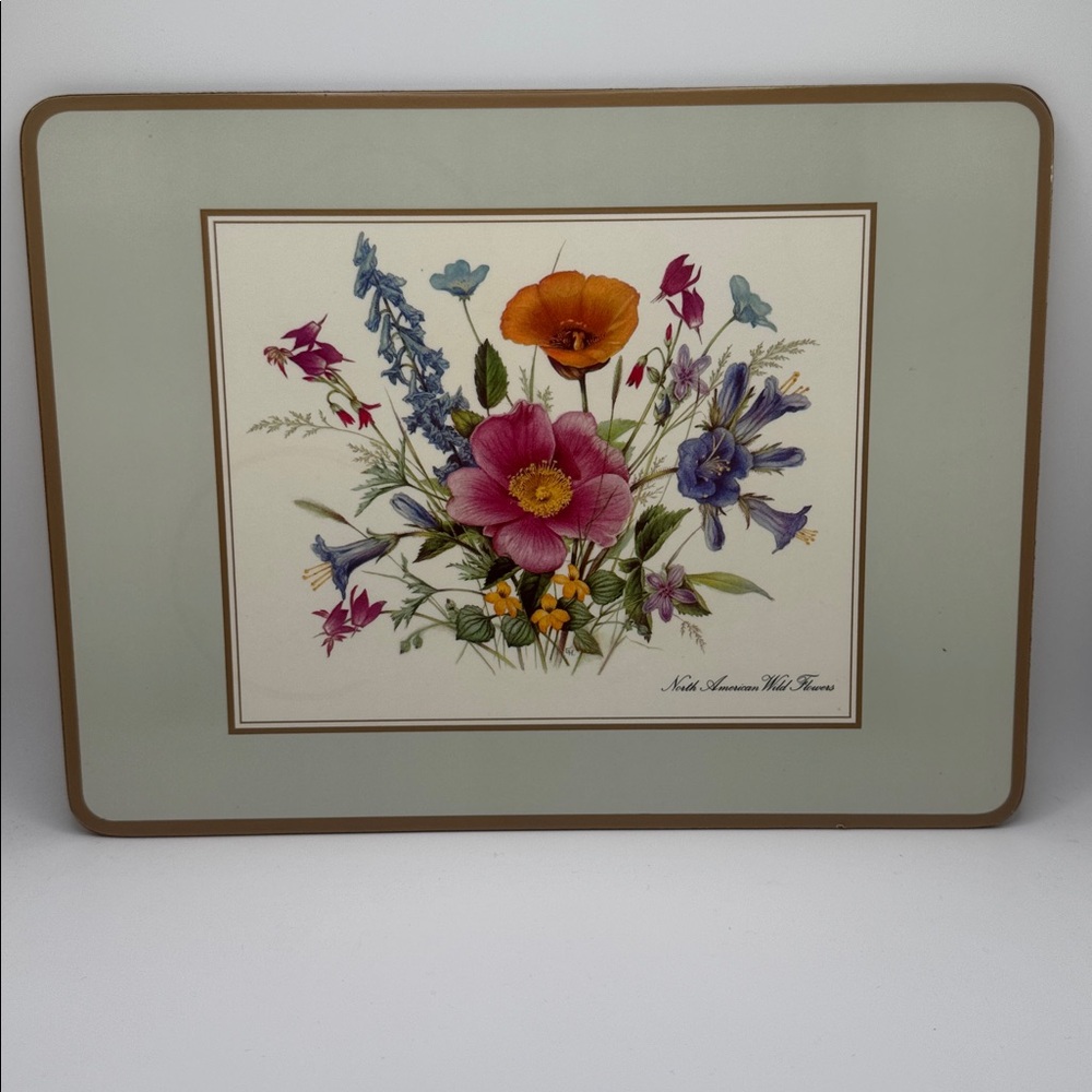 🌸 PIMPERNEL North American Wild Flowers 4 Placemats Floral Cork-Backed Mats - Picture 6 of 7
